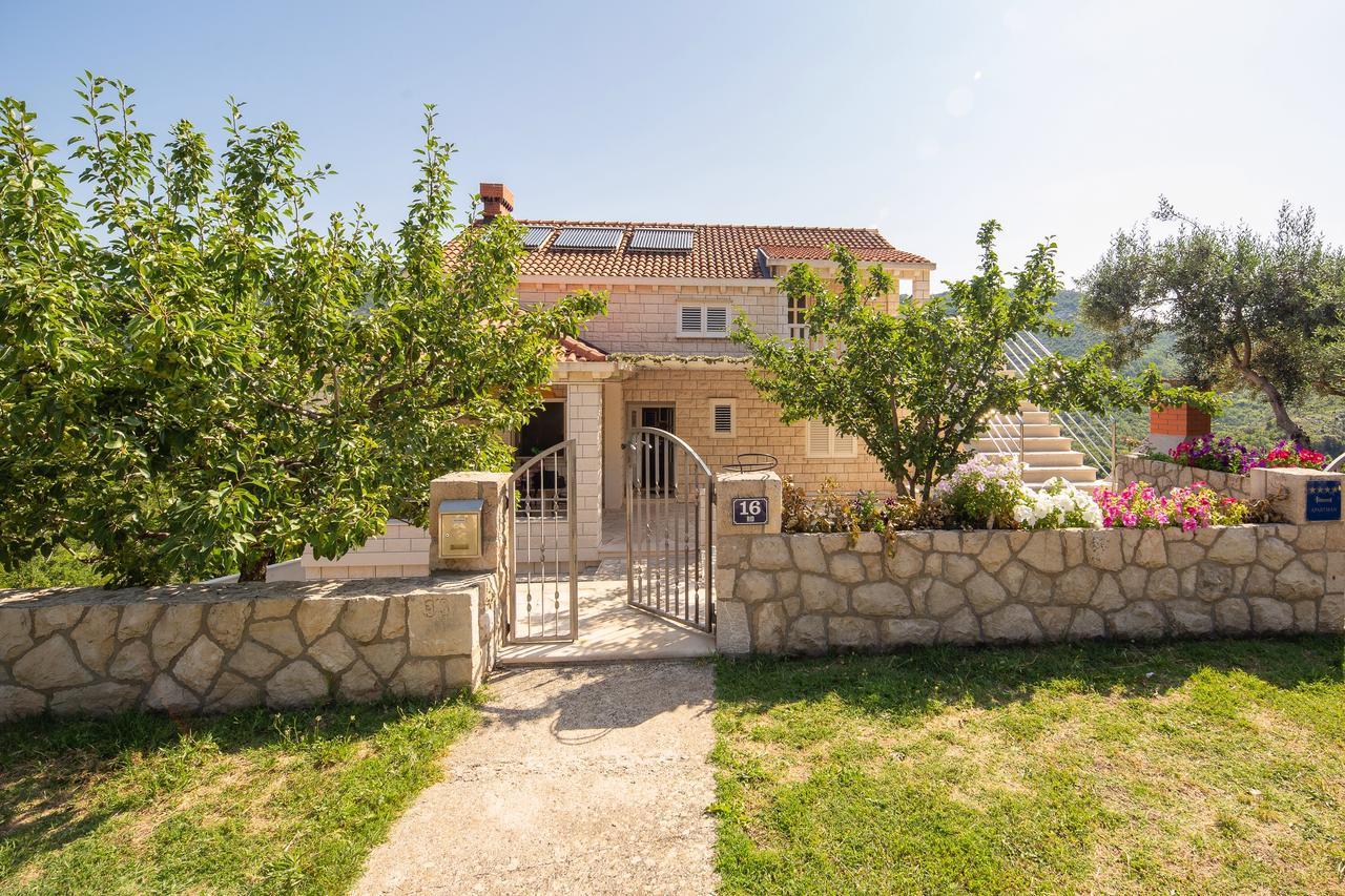 Green Paradise Apartments Mokošica Zewnętrze zdjęcie